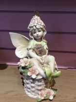 Fairy (Primrose)