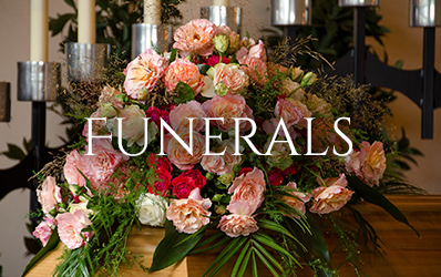 Delivery roses near sales me